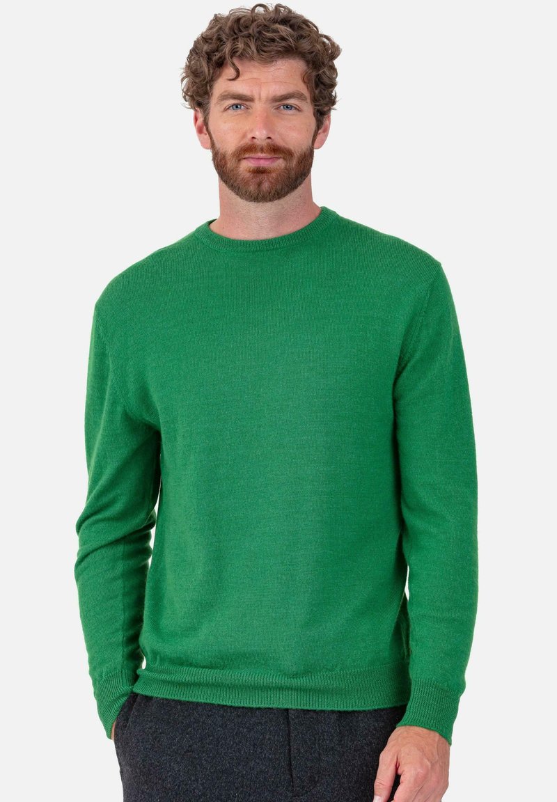 Mann mit lockigem Haar und Bart, der einen einfarbigen grünen Pullover mit langen Ärmeln und dunkle Hosen trägt, vor einem einfarbigen hellen Hintergrund steht.