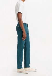 Pantaloni di cotone color turchese con design a gamba dritta, dotati di tasche posteriori e un'etichetta cucita. Indossati con una t-shirt bianca semplice e sneakers chiare.