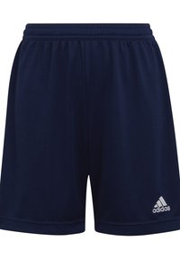 adidas Performance Pantalón corto de deporte - blue