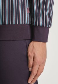 Gestreepte sweatshirt met een donker bordeauxrood basis, lichtblauwe en witte verticale strepen, en een paarse ribgebreide manchette; inclusief klein label.