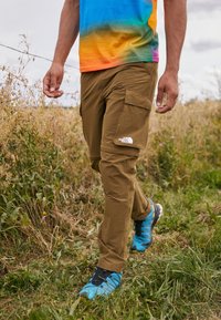 Spodnie cargo w kolorze khaki, z dwiema kieszeniami bocznymi i naszywką z logo. Noszone z koszulką w kolorowy gradient i niebieskimi butami sportowymi.