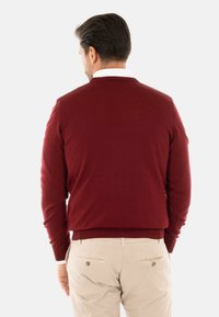 Maglione bordeaux con texture a coste e maniche lunghe, indossato sopra una camicia bianca con colletto, abbinato a pantaloni color khaki, visto da dietro.