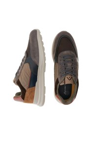 Ambitious Sneakers basse - marrone
