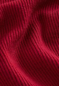 ROLL NECK  - Striktrøje - cherry red