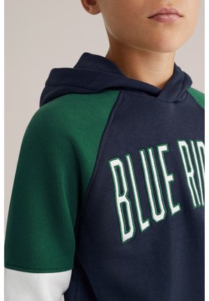 WE Fashion BLUE RIDGE - Džemperis ar kapuci - navy blue