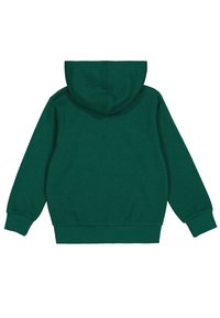 Champion GRAPHIC SHOP - Sudadera con cremallera - fir