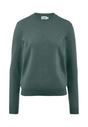 Maglione di lana verde con collo a giro, maniche lunghe e polsini e fondo a costine. Texture morbida, design semplice senza motivi o dettagli.