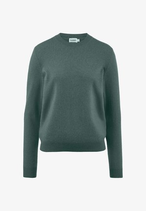 Groene wollen trui met een ronde hals, lange mouwen en geribde manchetten en zoom. Zachte textuur, eenvoudig ontwerp zonder patronen of accenten.