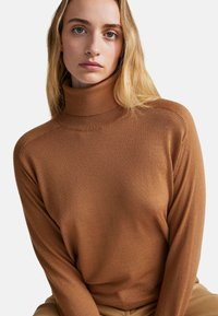 Maglione a collo alto marrone realizzato in materiale morbido, con maniche lunghe e design aderente, caratterizzato da una trama liscia e un aspetto minimalista.