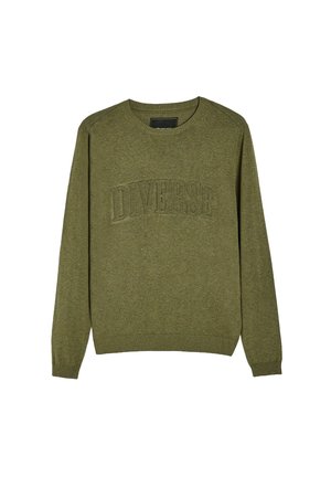 Sweter w oliwkowym kolorze z dzianiny, z okrągłym dekoltem i wypukłym logo "DIVERSE". Żebrowane mankiety i dół, gładka tekstura.