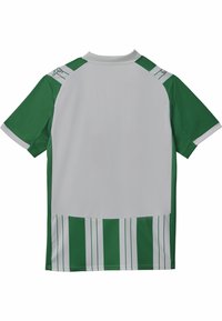 Maglietta corta verde e bianca con colletto rotondo, caratterizzata da un motivo a righe nella parte inferiore e maniche verdi solide.