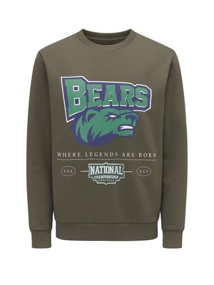 WEICHES RUNDHALS - Sweatshirt - braun