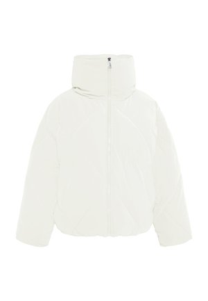 Pufasta jakna v off-white barvi, ki ima visok ovratnik, sprednji zadrgo in diamantno šivano vzorec. Narejena iz gladkega, sijočega materiala.