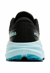 Brooks CASCADIA 19 GTX - Bėgimo bateliai, skirti nelygiam paviršiui - black ebony blue flower