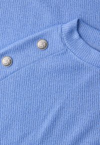 Pull en maille bleu clair côtelé avec col rond et deux boutons décoratifs en forme de tête de lion argentée sur la couture de l'épaule.