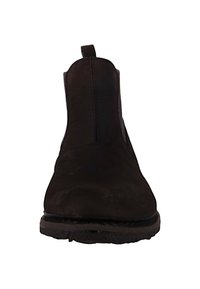 El Naturalista - Ankle boot