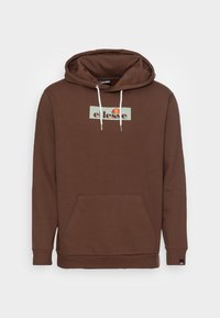 Ellesse CRESTIDA HOODY - Jersey con capucha - brown