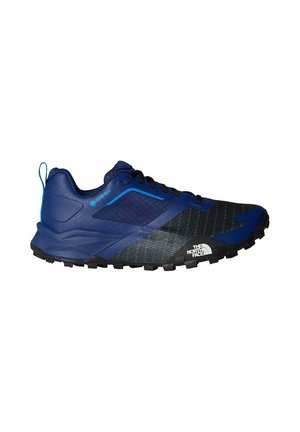 Blauer und schwarzer Trailrunning-Schuh mit strukturiertem Mesh-Obermaterial, Gore-Tex-Branding, Gummisohle und Stollen-Profil für besseren Grip.