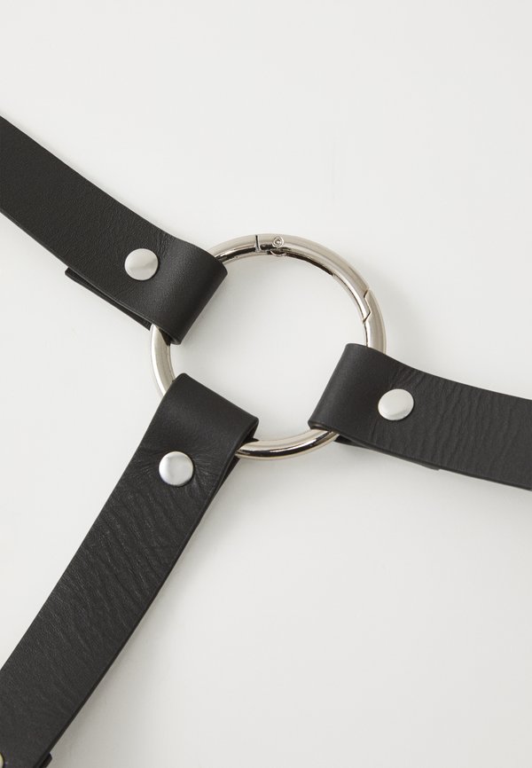 SVEN HARNESS - Belt4
