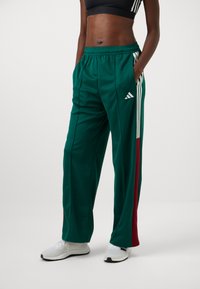 Groene trainingsbroek met rode zijaccenten, gemaakt van gladde stof. Beschikt over witte verticale strepen en een elastische taille met zakken.