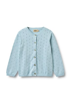 Hellblauer, gestrickter Cardigan mit langen Ärmeln, kleinem Lochmuster, rundem Ausschnitt und sechs Knöpfen auf der Vorderseite.