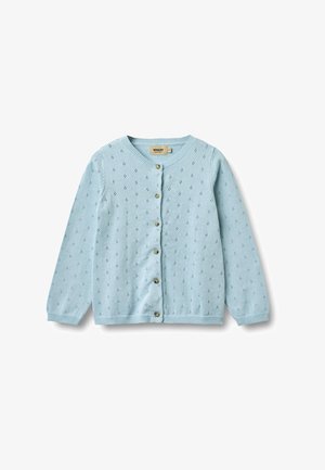 Cárdigan de punto azul claro con mangas largas, pequeño patrón de ojales, escote redondo y seis botones en la parte delantera.