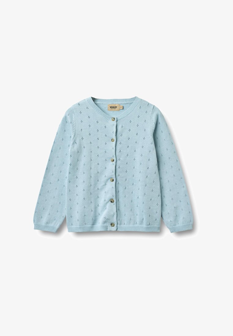 Hele sinine kootud kardigan pikkade varrukatega, väikese piludega mustriga, ümmarguse kaelusega ja kuue ees oleva nupuga.