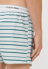 Plavalne kratke hlače Calvin Klein so izdelane iz lahkega materiala in imajo zelene in modre vodoravne črte, bele elastične pasove ter logotip.