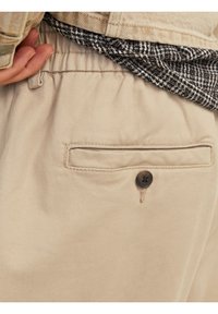 Jack & Jones JPSTKARL JJLAWRENCE SOUTH - Trousers - crockery