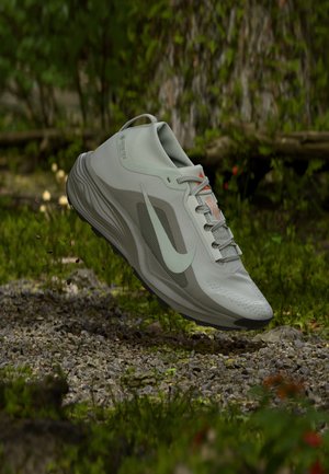 Nike ACG, ACG PEGASUS GTX - Trail running shoes - lt silver/lt silver-lt army-safety orange-med ash