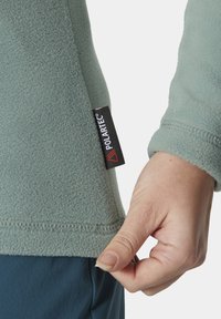 Helly Hansen DAYBREAKER  - Suéter de forro polar - cactus