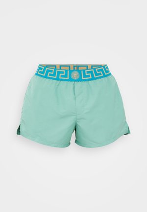 Light teal swim shorts feature a patterned turquoise and gold waistband with a lion emblem, crafted from smooth, quick-drying material.