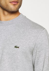Sweatshirt in cotone grigio con collo a giro, con un piccolo logo del coccodrillo ricamato in verde e rosso sul lato sinistro del petto. Texture morbida.