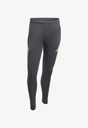 Wąskie spodnie sportowe w kolorze ciemnoszarym, wykonane z gładkiego, rozciągliwego materiału. Posiadają boczne kieszenie oraz złote i czerwone akcenty z logo.