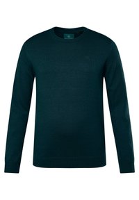 Dunkelgrüner Strickpullover mit Rundhalsausschnitt, langen Ärmeln und gerippten Bündchen. Besitzt ein kleines Logo auf der Brust und eine glatte Textur.