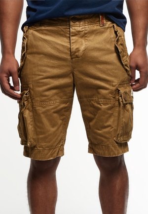 Mand iført brune cargoshorts med flere lommer og en blå skjorte, vist fra talje til knæ mod en hvid baggrund.