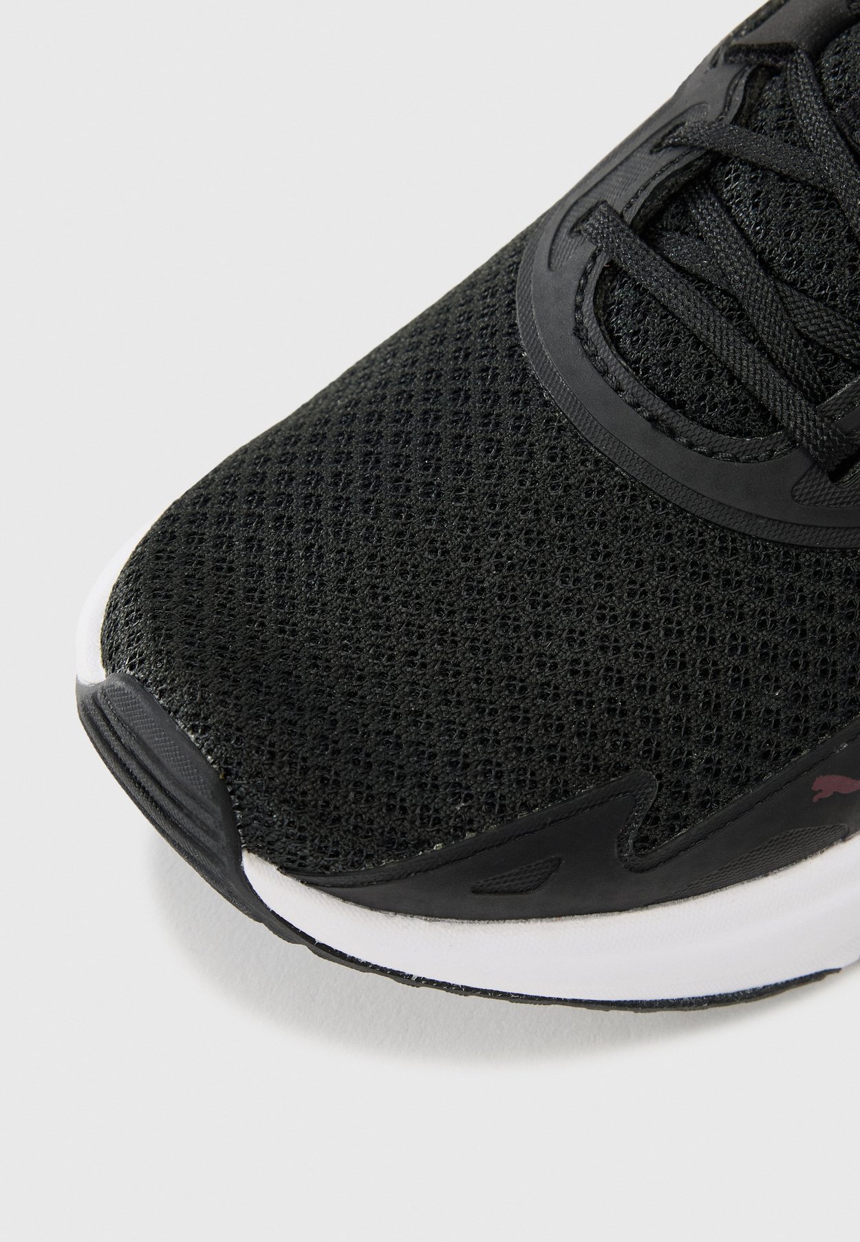 DISPERSE XT 4