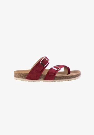 Sandalia de ante roja con suela de corcho, dos correas ajustables con hebilla y lazo para el dedo en fondo blanco.