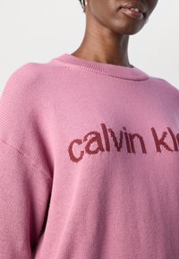 Primo piano di una persona che indossa un maglione lavorato a maglia rosa con il testo rosso "Calvin Klein" sul petto e orecchini a cerchio d'argento.