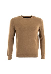 Maglione beige lavorato a maglia con scollatura rotonda e maniche lunghe. Presenta polsini e orlo a coste, realizzato in un materiale morbido e testurizzato.