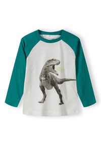 Ilgaame rankove marškiniai su balta kūno dalimi ir smaragdinėmis raglan rankovėmis. Yra dinozauro grafika su kalbėjimo burbulu, kuriame parašyta "Hugsaurus!" žaismingu šriftu.