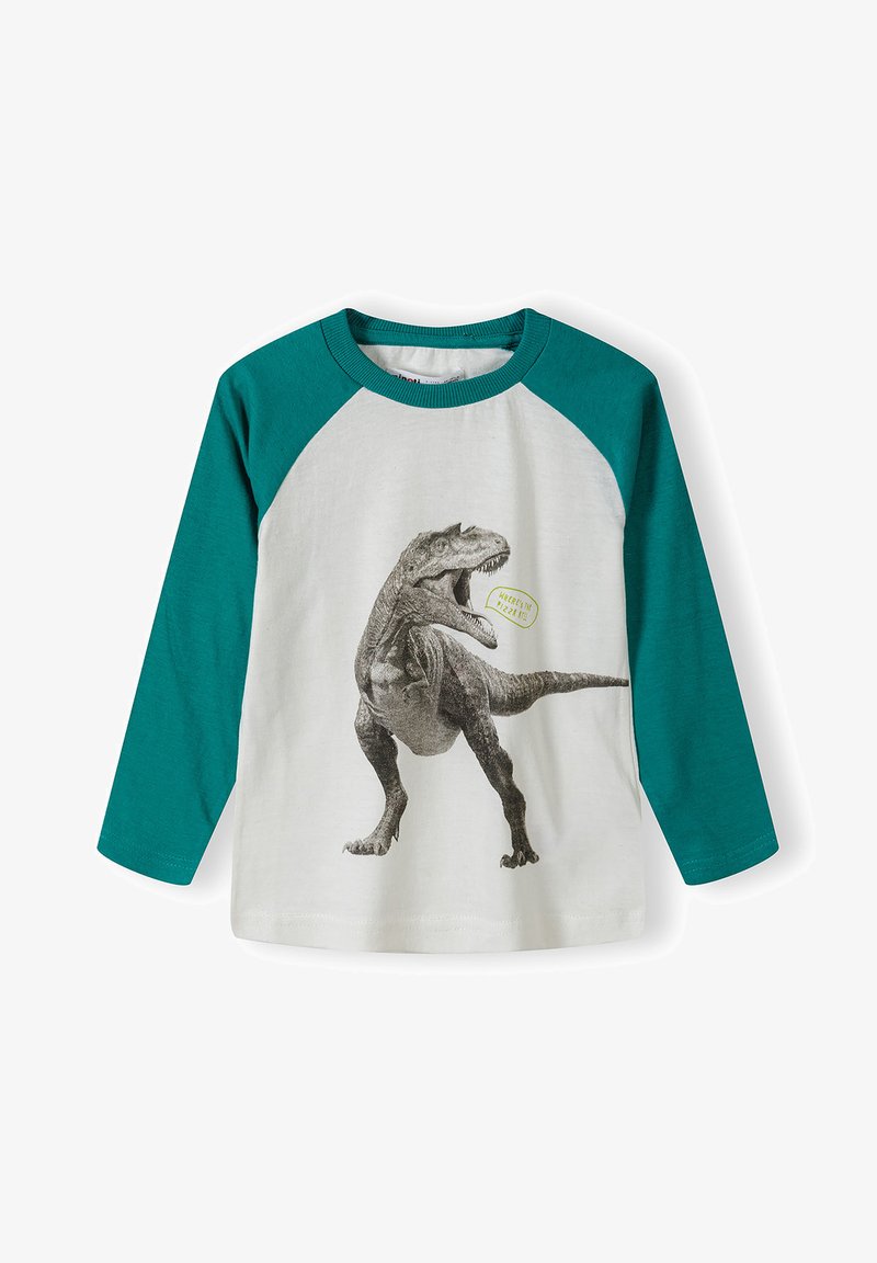 Ilgaame rankove marškiniai su balta kūno dalimi ir smaragdinėmis raglan rankovėmis. Yra dinozauro grafika su kalbėjimo burbulu, kuriame parašyta "Hugsaurus!" žaismingu šriftu.