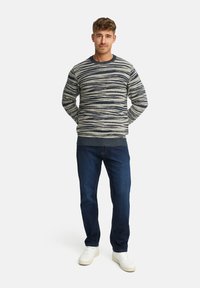 Maglione da uomo grigio chiaro con strisce navy, maniche lunghe, scollatura rotonda, abbinato a jeans blu scuro e sneaker bianche.