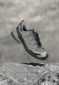 Niet geselecteerd, alloy/castlerock/lunar rock