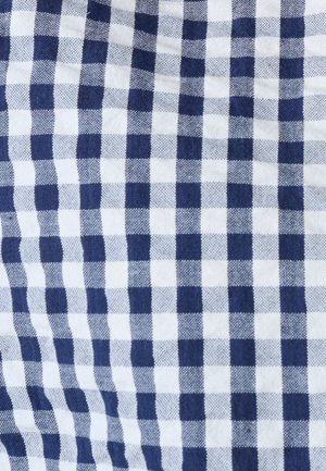 Tessuto a quadri blu e bianco con una texture intrecciata, che mostra leggere pieghe e un aspetto di materiale di cotone morbido.