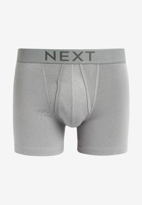 Next A FRONTS 10 PACK - Apakšbikses - rich brights