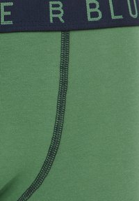 Zelena bombažna spodnja perila s temno modrim pasom, na katerem je napis "SUPER BLU" v svetlo zeleni barvi. Hribast teksturiran material in podrobnosti šivanja z ravnim šivom.