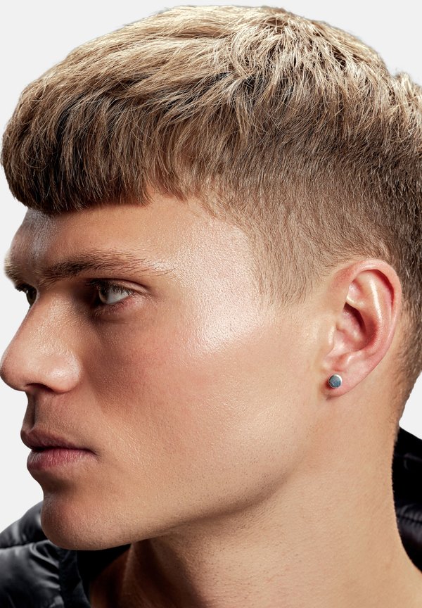 ARGENTIA - Ohrringe - steel silver