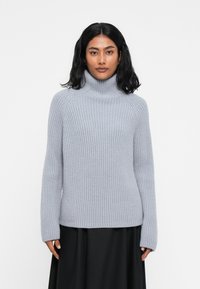 Maglione a collo alto grigio chiaro realizzato in materiale a coste, con maniche lunghe e una silhouette leggermente aderente. Senza motivi o accenti.