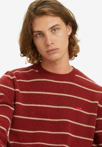 Jong persoon met schouderlang bruin haar draagt een rood en beige gestreept sweater en een kleine gouden ringoorbel.